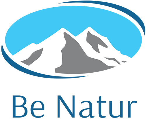 Be Natur logo