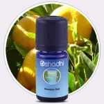 mandarin red essential oil citrus reticulata 1