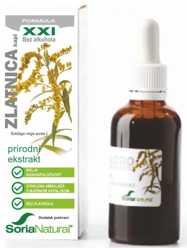 Zlatnica XXI slika.webp