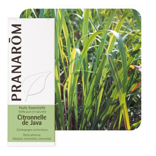 product 28761 1754549645.jpg