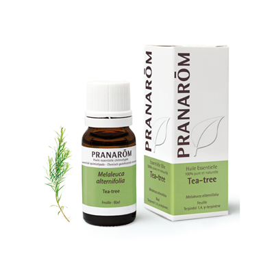 product 28762 1754549645.png