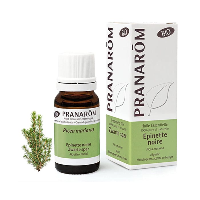 product 28866 1754549668.jpg