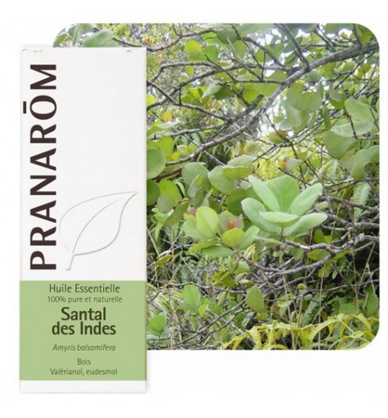 product 28870 1754549672.jpg