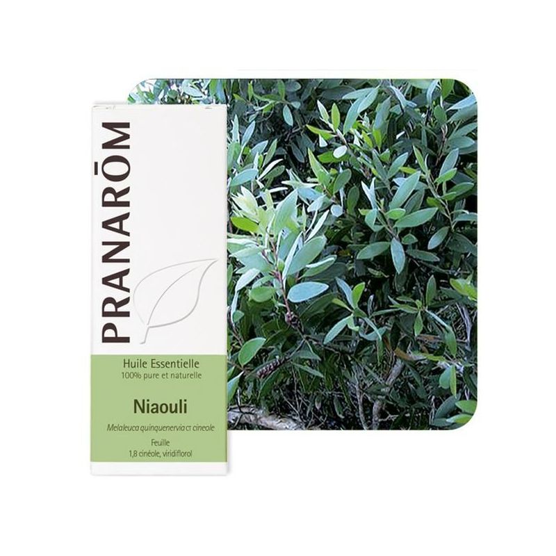 product 29214 1754549800.jpg