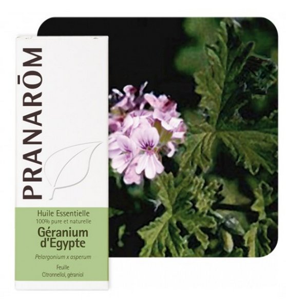 product 29261 1754549827.jpg