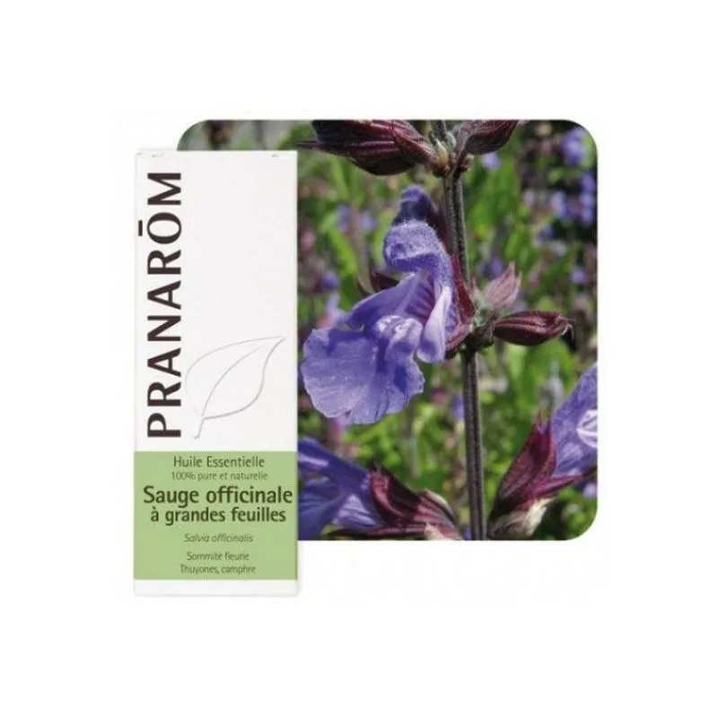 product 29262 1754549827.webp