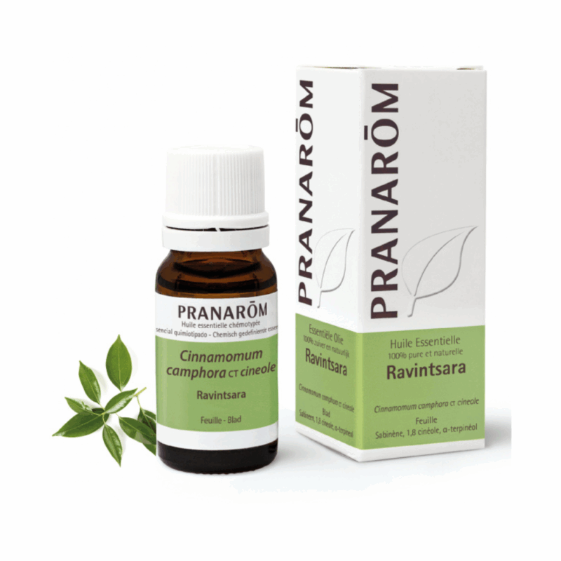 product 29314 1754549835.png