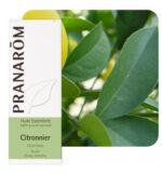 product 29320 1754549839.jpg