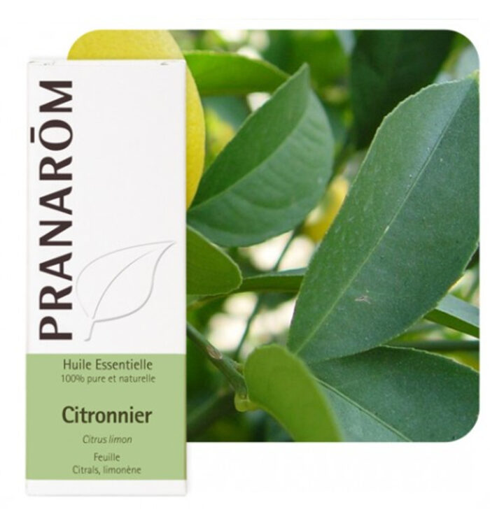 product 29320 1754549839.jpg