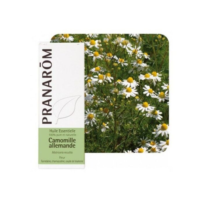 product 44237 1754550467.jpg