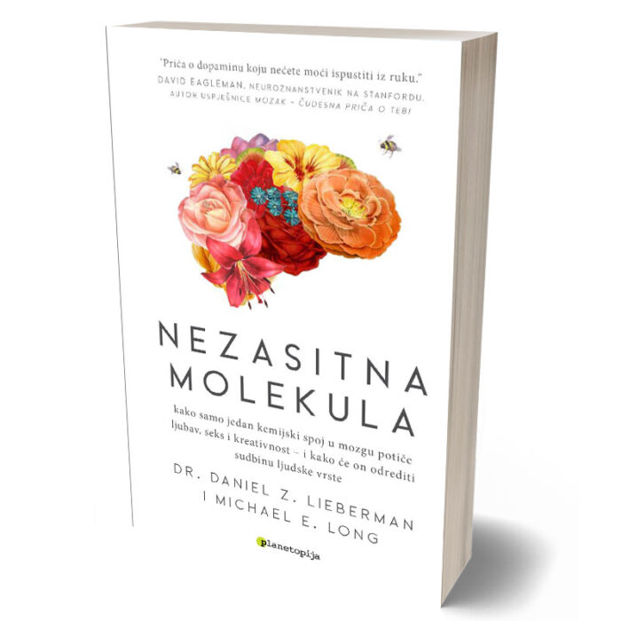 product 44704 1754996588.jpg