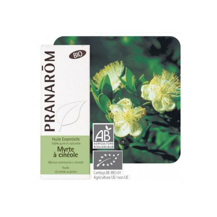 product 45161 1754551029.jpg