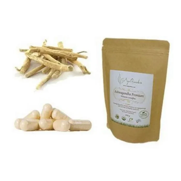 product 45905 1754551605.webp