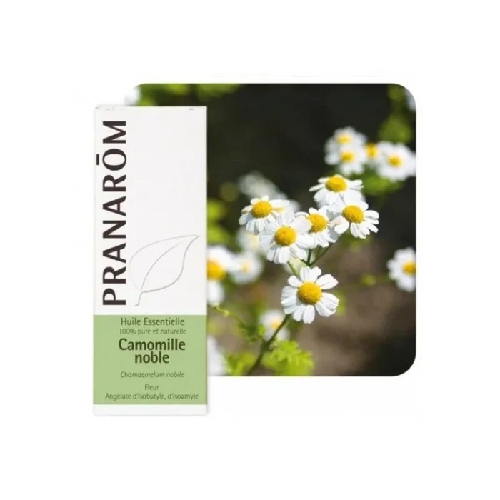 product 46042 1754551689.webp