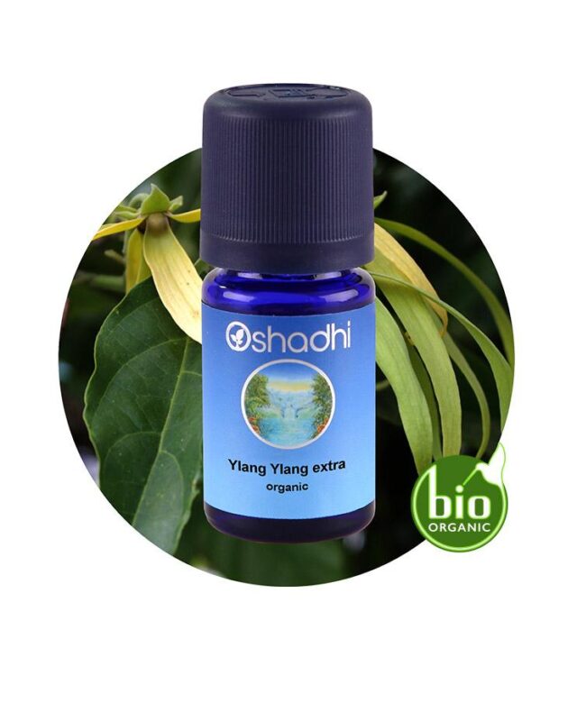 product 46312 1755074596.jpg