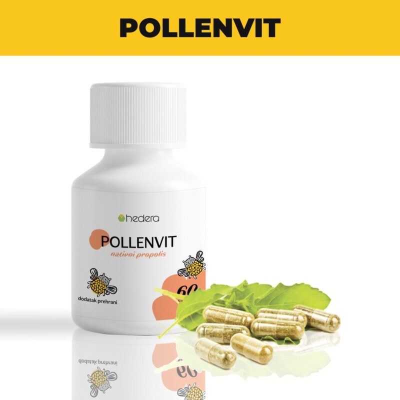 product 46469 1754552107.jpeg