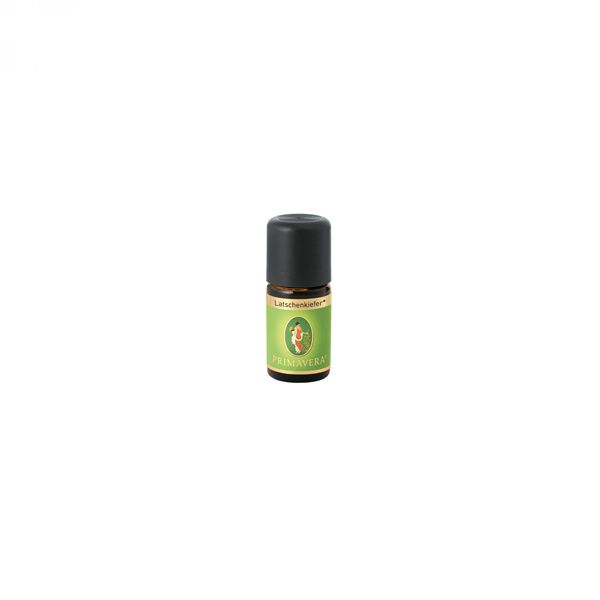 product 46599 1754552298.jpg