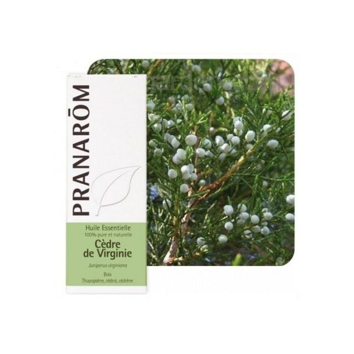 product 47692 1754553026.jpg