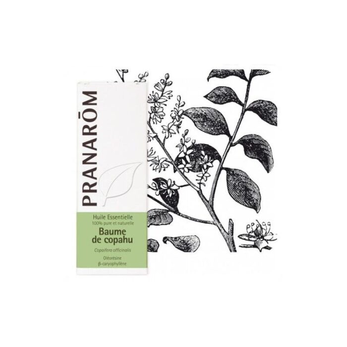 product 47828 1754557547.jpg