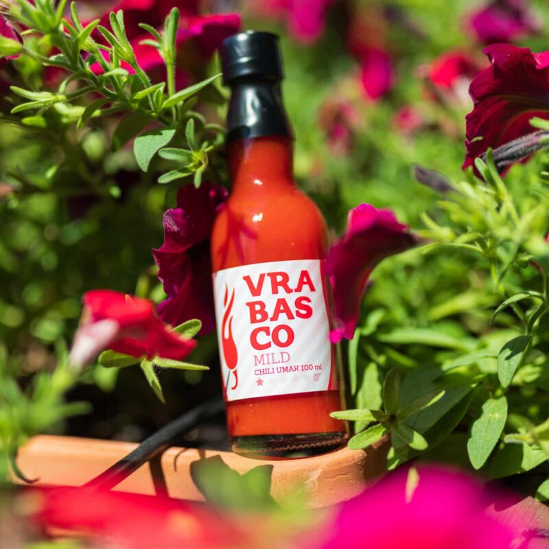 product 47909 1754564923.jpg