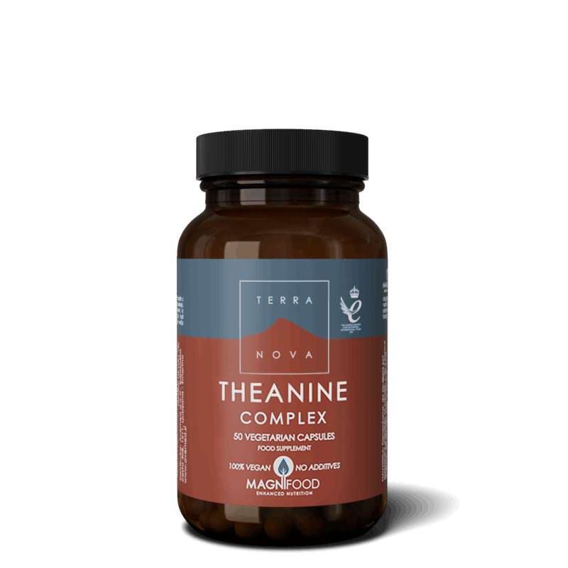 product 48005 1754913374.png