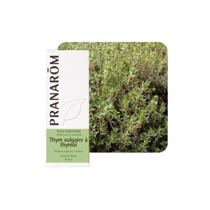 product 48858 1754565527.jpg