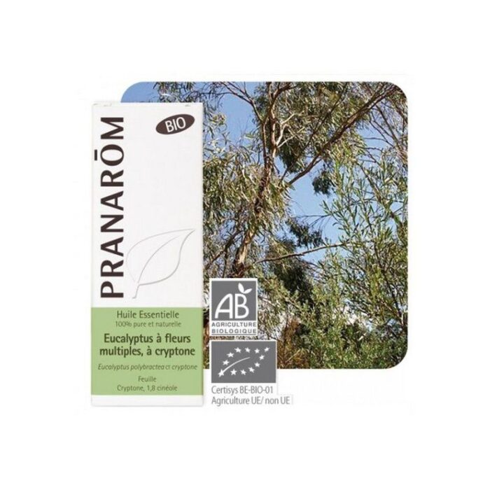 product 48955 1754565575.jpg